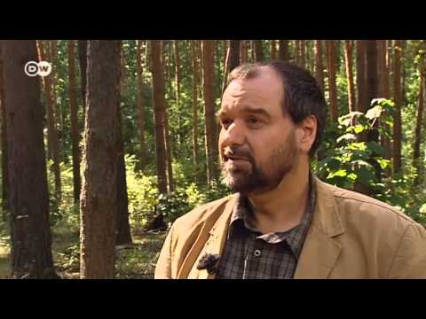 how to react to change