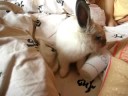 Zo� dans le lit avec gobelets 2
