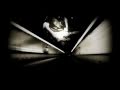 Ver Video