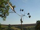 Wind-driven sculpture by artist and recycling specialist Bob Rowberry