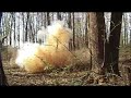 1.2lb High Explosive Rifle target cutting down a tree