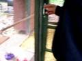 videos de Rentz House, Front Yard
