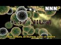 Samm - 21eme Siècle (Subtitulado en español)