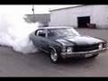 Muscle-Cars