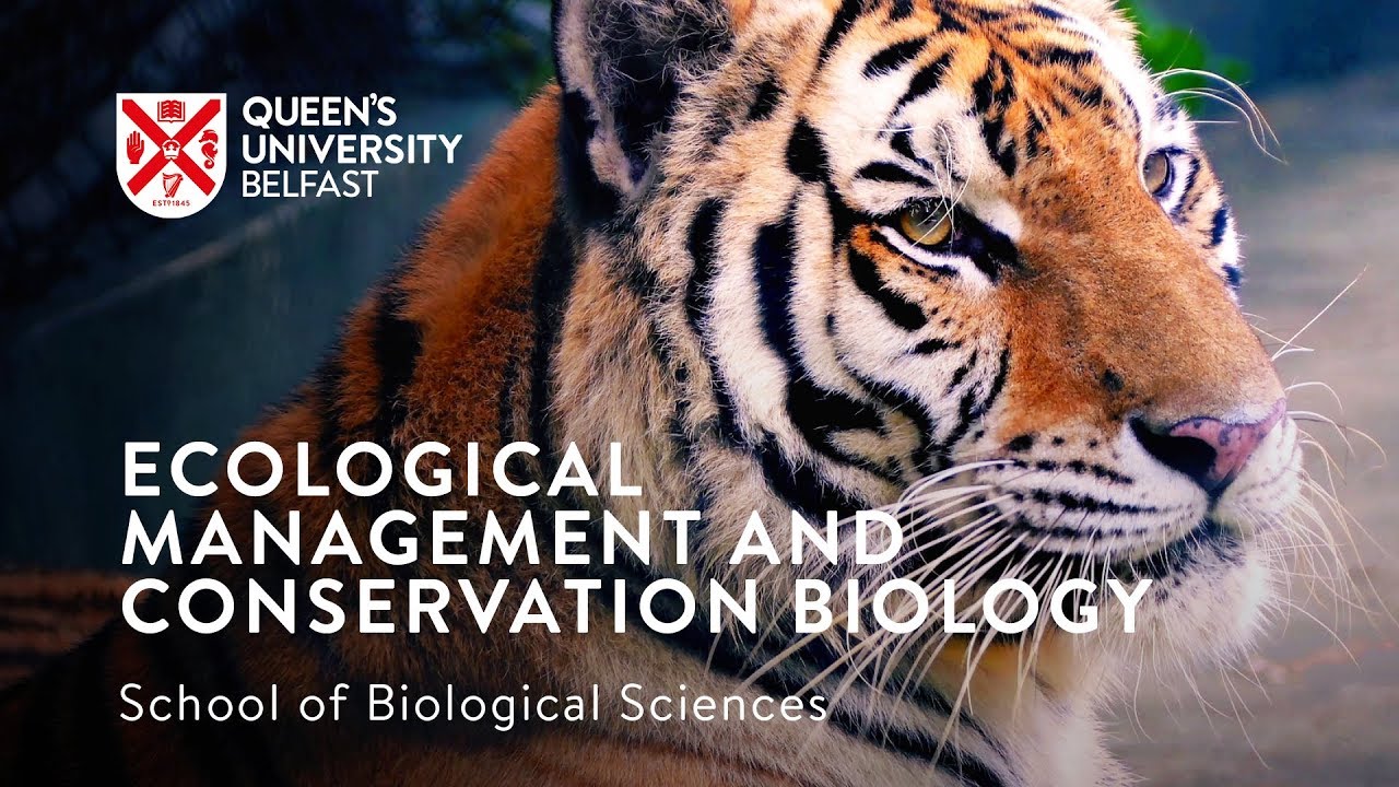 Video Image - Eco Course - img-id-1012322