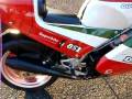 Ducati 851 Tricolore RACE superbike with 1000kms on the clock!