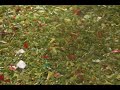 WATCH IT SHRED!  \\\\How the Shredder shredded Christmas!//