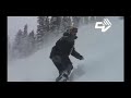 Bluebird Movie?teaser