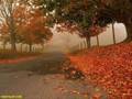 Ay�e Egesoy Sensiz �stanbul