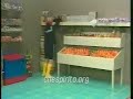 Aprenda a bailar reggeaton cristiano (humor)