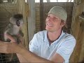Oliver the monkey