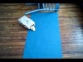 How to Eat a Bag of Chips (tutorial)