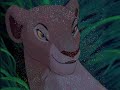 simba & nala
