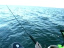 Pelle D Lax 3,5 kg Vättern