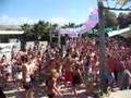 Kingstoni - Bossa noga
