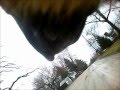 Diesel Stomping: Diesel Cam - Field Test #1