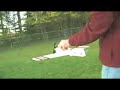 Fun with 1/2A Control-Line Airplanes