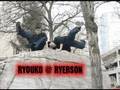 Le Parkour - TORRONTO