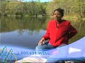 Healing the Thyroid and Lower cholesterol  Nutritional Medicine Cholesterol