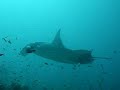 maldives - croisi�re 2008 avec Nicolas MOUNY