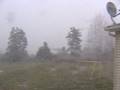 First snow Nov 2 08