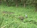 GPTV:Uitbreiding Sneker Rasterhoffpark
