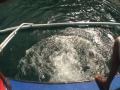 Spinal Cord Injury Persons Go Scuba Diving