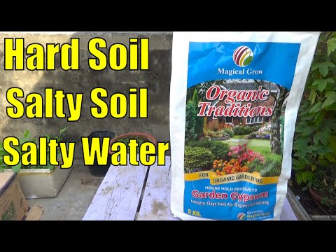 video-linktoworks-Hard Soil How to Soften |How to Loosen Soil in Pots...