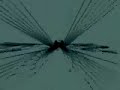 Antonelli Electr. - I Don\ Antonelli Electr. - I Don\