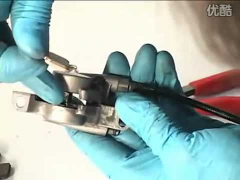 how to perform phenol coefficient test