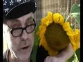 Sulan Larsson - Obesv�rad k�rlek