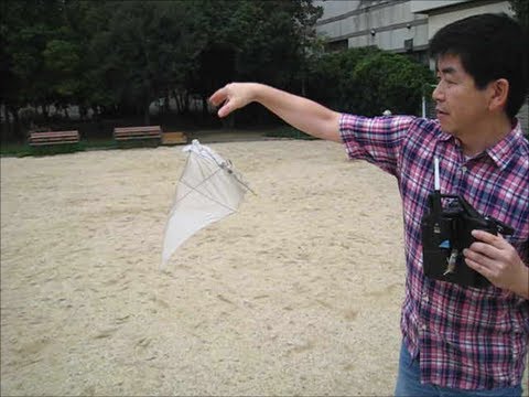 Acrobatic maneuver of 3D-printed ornithopter