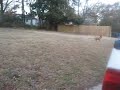 Nail Gun
