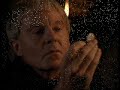 Cadfael Chronicles