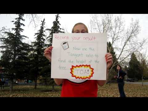 how to measure height of a tree