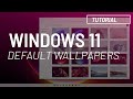 View 21 Windows 11 Wallpaper 4K For Pc