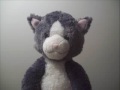 PETER THE CAT