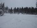 Alpine Meadows Triple Outer