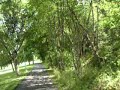 N�lsta f�ltet cykeltur 15.7.08