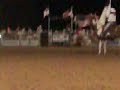paint horse running with flag at rodeo in benson NC.MOV