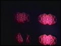 TOOL - Lateralus Live TOOL - Lateralus Live