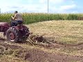 Farmall Cub Hunting Taters!