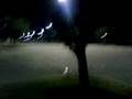 Stealth Guy Drifto 1