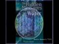 Grand Unified Field Theory: Nassim Haramein Pt. 1