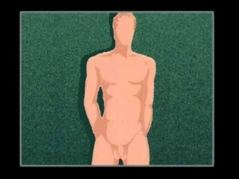gametos - http://perfillucioflores.blogspot.com/ aquí encontrarás más recursos digitales educativos Ciencia Divertida Los Gametos Sexuales Humanos.