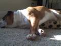 videos de Jan 09 2007 - VID00006.AVI