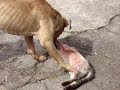 YouTubeサムネイル[ruywYaIdAqg] - 3枚目