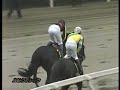 2008???????????????????