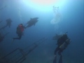 Drift Divers - Red Sea Liveaboard 2006