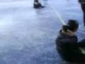 videos de Ice